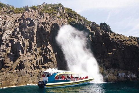 Full-Day Bruny Island Cruises Day Tour From Hobart - Kalgoorlie Accommodation 4