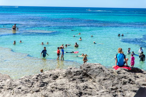 Rottnest Island Roundtrip Fast Ferry From Hillarys Boat Harbour - Kalgoorlie Accommodation 1