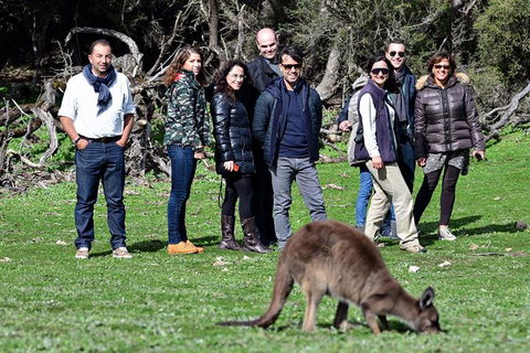 2-Day Kangaroo Island 4WD Small-Group Tour From Adelaide - Kalgoorlie Accommodation 1