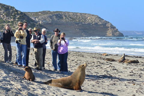 2-Day Kangaroo Island 4WD Small-Group Tour From Adelaide - Kalgoorlie Accommodation 3