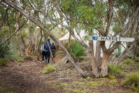 2-Day Kangaroo Island 4WD Small-Group Tour From Adelaide - Kalgoorlie Accommodation 5