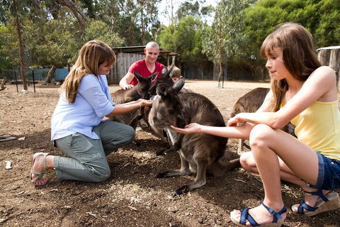 Full-Day Kangaroo Island Experience Departing From Kangaroo Island - Kalgoorlie Accommodation 5