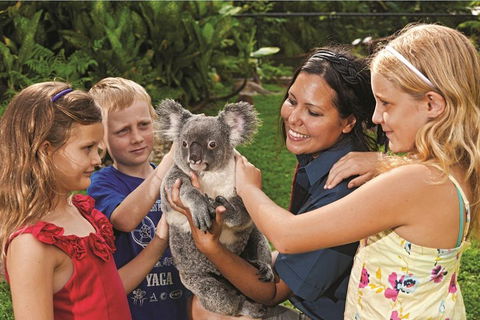 Kuranda Koala Gardens General Entry Ticket - Kalgoorlie Accommodation 0