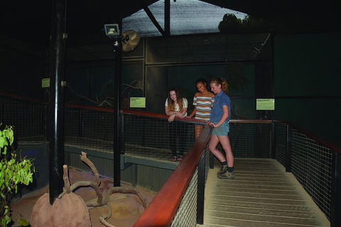 Kuranda Koala Gardens General Entry Ticket - Kalgoorlie Accommodation 2