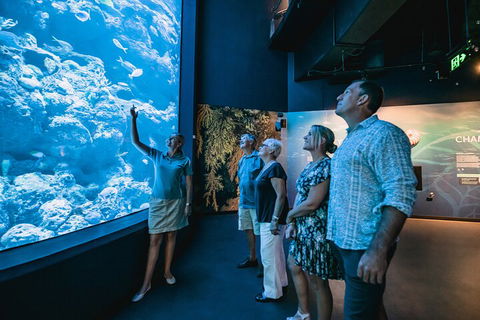 Cairns Aquarium By Twilight With 3-Course Dinner - Kalgoorlie Accommodation 1