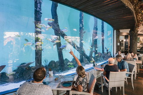 Cairns Aquarium By Twilight With 3-Course Dinner - Kalgoorlie Accommodation 4