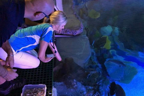 Cairns Aquarium Marine Life Encounter Ticket With 2-Course Lunch - Kalgoorlie Accommodation 2
