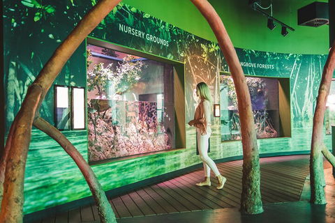 Cairns Aquarium Marine Life Encounter Ticket With 2-Course Lunch - Kalgoorlie Accommodation 3