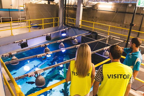Cairns Aquarium Marine Life Encounter Ticket With 2-Course Lunch - Kalgoorlie Accommodation 5