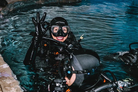 Cairns Aquarium Dive With The Sharks - Kalgoorlie Accommodation 0