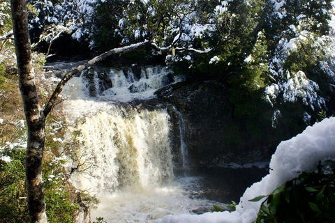 Cradle Mountain Day Tour From Launceston Including Lunch - Kalgoorlie Accommodation 0