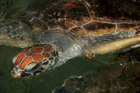Cape Leveque 4WD Tour From Broome With Optional Return Flight - Kalgoorlie Accommodation 2