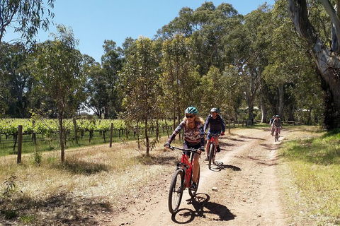 McLaren Vale Wine Tour By Bike - Kalgoorlie Accommodation 1