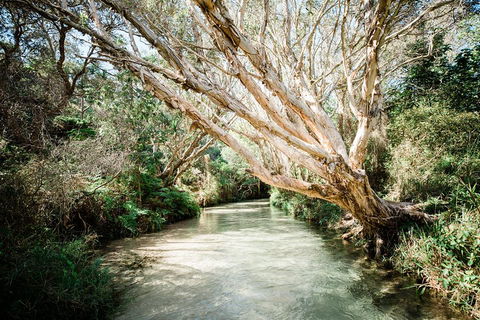 3-Day Fraser Island Resort Package - Kalgoorlie Accommodation 5