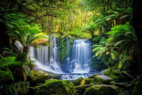 Day Tour In Mt. Field, Mt. Wellington, Bonorong Wildlife Sanctuary And Richmond - Kalgoorlie Accommodation 0