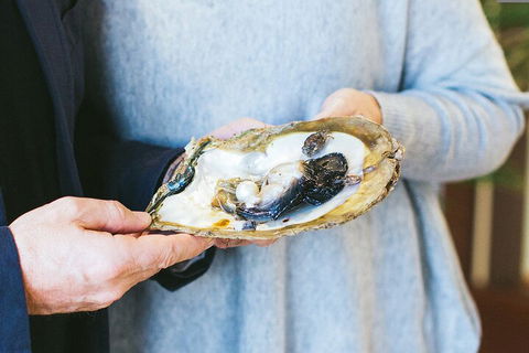 Half-Day Willie Creek Pearl Farm Tour With Helicopter Flight - Kalgoorlie Accommodation 3