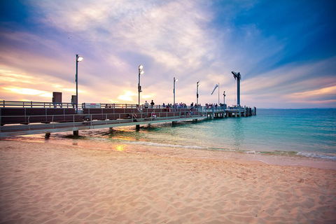 Tangalooma Island Resort Whale Watching Day Cruise With Dolphin Viewing - Kalgoorlie Accommodation 3