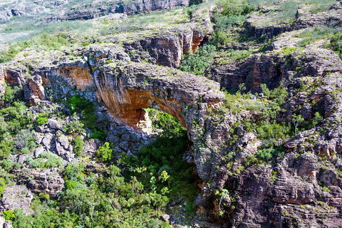 Darwin To Kakadu Day Trip By Air Including Yellow Water Cruise - Kalgoorlie Accommodation 4