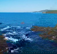 Julian Rocks Byron Bay Cruise - Kalgoorlie Accommodation