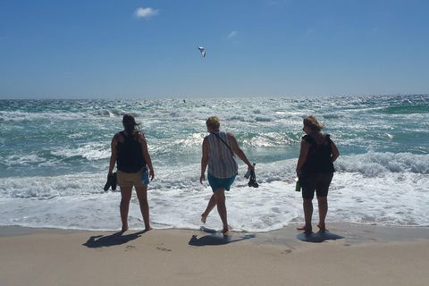 Very Best Of Perth Tour - Wildlife Park & City Highlights Tour - Kalgoorlie Accommodation 5