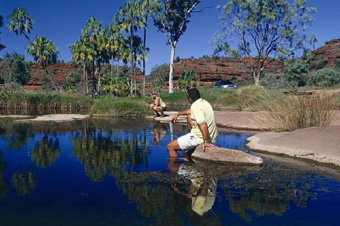 Palm Valley 4WD Day Tour - Kalgoorlie Accommodation 1