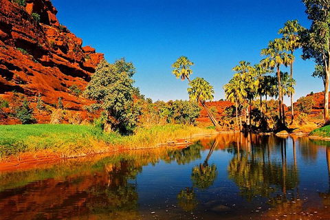 Palm Valley 4WD Day Tour - Kalgoorlie Accommodation 2