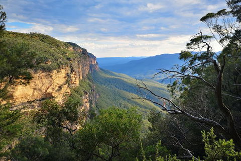 Sunset Blue Mountains Wilderness & Wildlife Tour Without The Crowds - Kalgoorlie Accommodation 2
