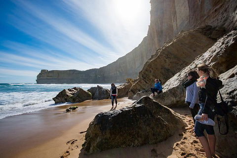 2-Day Melbourne To Adelaide Tour: Great Ocean Road And Grampians One Way Trip - Kalgoorlie Accommodation 1