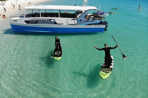 Whitsunday Bullet Day Trip - Whitehaven Beach And Snorkelling - Kalgoorlie Accommodation 4