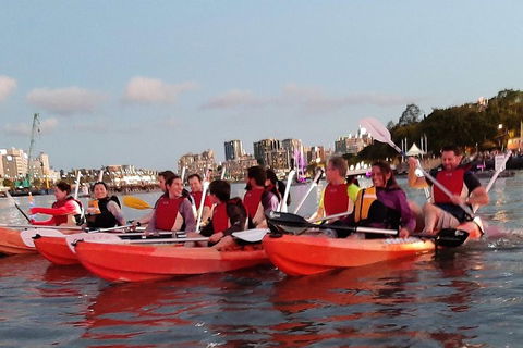 Brisbane River Guided Evening Tour By Kayak - Our Most Popular Tour - Kalgoorlie Accommodation 0