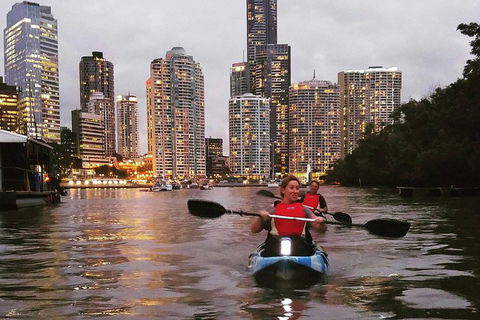 Brisbane River Guided Evening Tour By Kayak - Our Most Popular Tour - Kalgoorlie Accommodation 3