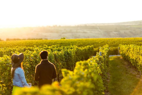 Margaret River Private Tour - Kalgoorlie Accommodation 2