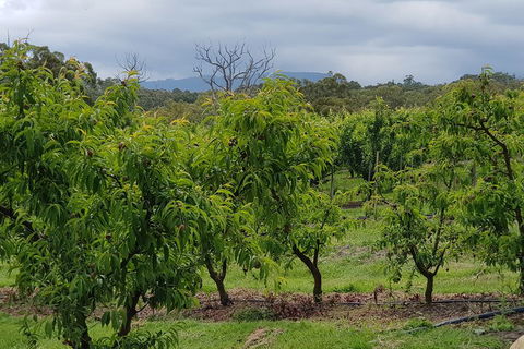 Yarra Valley Wineries And Rayners Orchard Tour From Melbourne - Kalgoorlie Accommodation 2