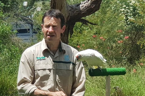 Healesville Sanctuary And Rayners Orchard Tour From Melbourne - Kalgoorlie Accommodation 0