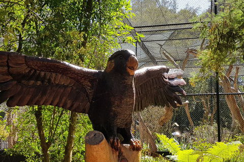 Healesville Sanctuary And Rayners Orchard Tour From Melbourne - Kalgoorlie Accommodation 2