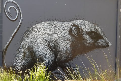 Healesville Sanctuary And Rayners Orchard Tour From Melbourne - Kalgoorlie Accommodation 5