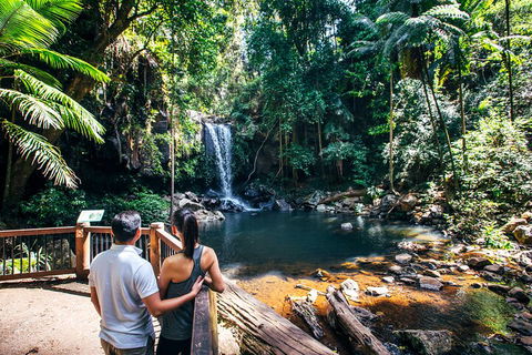 Aquaduck & Your Choice Of Gold Coast Rainforest Tour - Kalgoorlie Accommodation 0