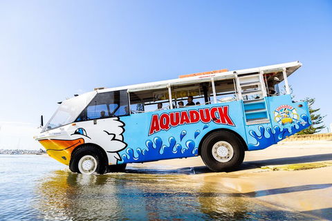 Aquaduck & Your Choice Of Gold Coast Rainforest Tour - Kalgoorlie Accommodation 3