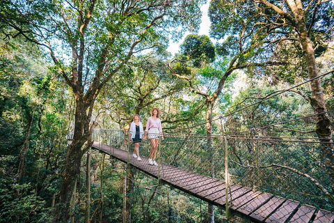 Aquaduck & Your Choice Of Gold Coast Rainforest Tour - Kalgoorlie Accommodation 4