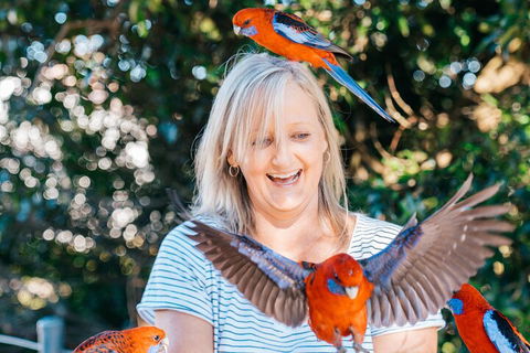 Aquaduck & Your Choice Of Gold Coast Rainforest Tour - Kalgoorlie Accommodation 5