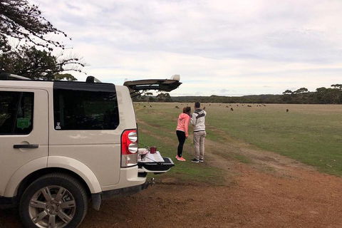 Kangaroo Island 4WD Tour - Flinders Chase - Kalgoorlie Accommodation 3