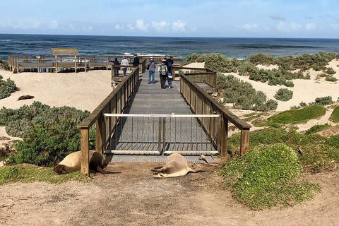 Kangaroo Island 4WD Tour - Best Of KI - Kalgoorlie Accommodation 2