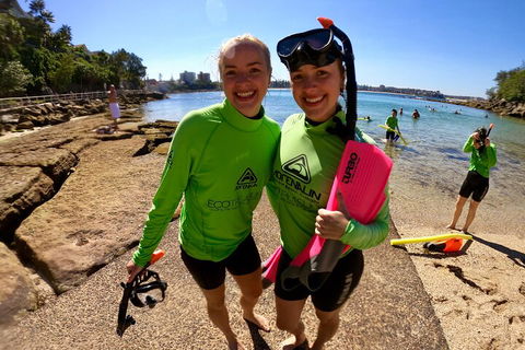 Manly Snorkel Trip And Nature Walk With Local Guide - Kalgoorlie Accommodation 1