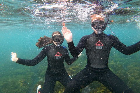 Manly Snorkel Trip And Nature Walk With Local Guide - Kalgoorlie Accommodation 3