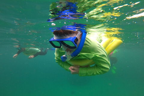 Manly Snorkel Trip And Nature Walk With Local Guide - Kalgoorlie Accommodation 5