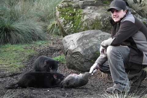 After Dark Tasmanian Devil Feeding Tour At Cradle Mountain - Kalgoorlie Accommodation 2