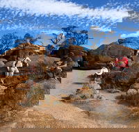 The Big Wave Rock Private Day Tour - Kalgoorlie Accommodation