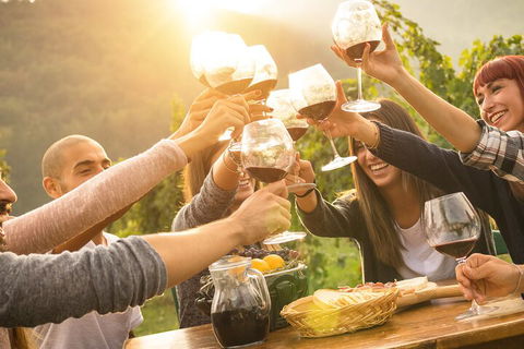 Yarra Valley, Dandenong Ranges Inc. Lunch With Wine,plus Morning Tea,chocolate - Kalgoorlie Accommodation 4
