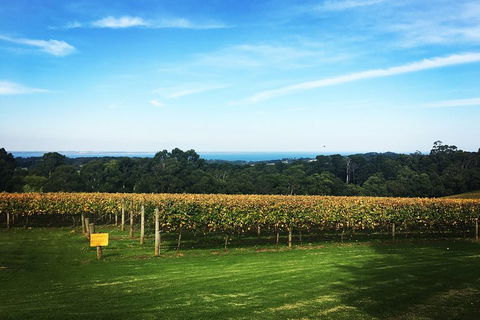 Yarra Valley Private Car Winery Tour And Chocolate.1-7 Passengers One Car Price - Kalgoorlie Accommodation 0