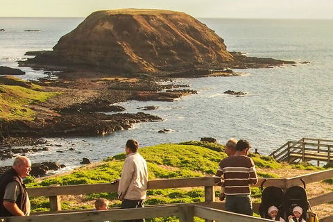 Healesville Sanctuary And Phillip Island Wildlife Bus Tour - Kalgoorlie Accommodation 3